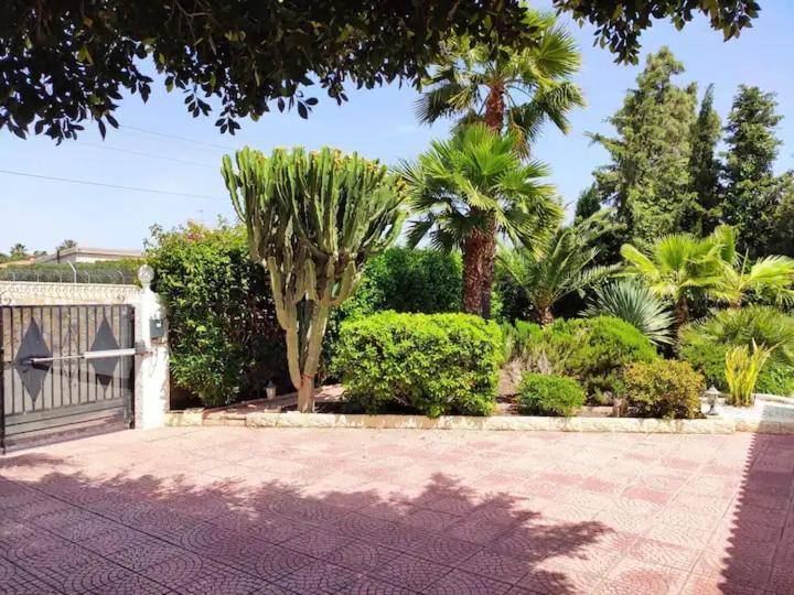 San Vicente Raspeig Villa With Private Pool, Bbq, Fitness Center & Sauna מראה חיצוני תמונה
